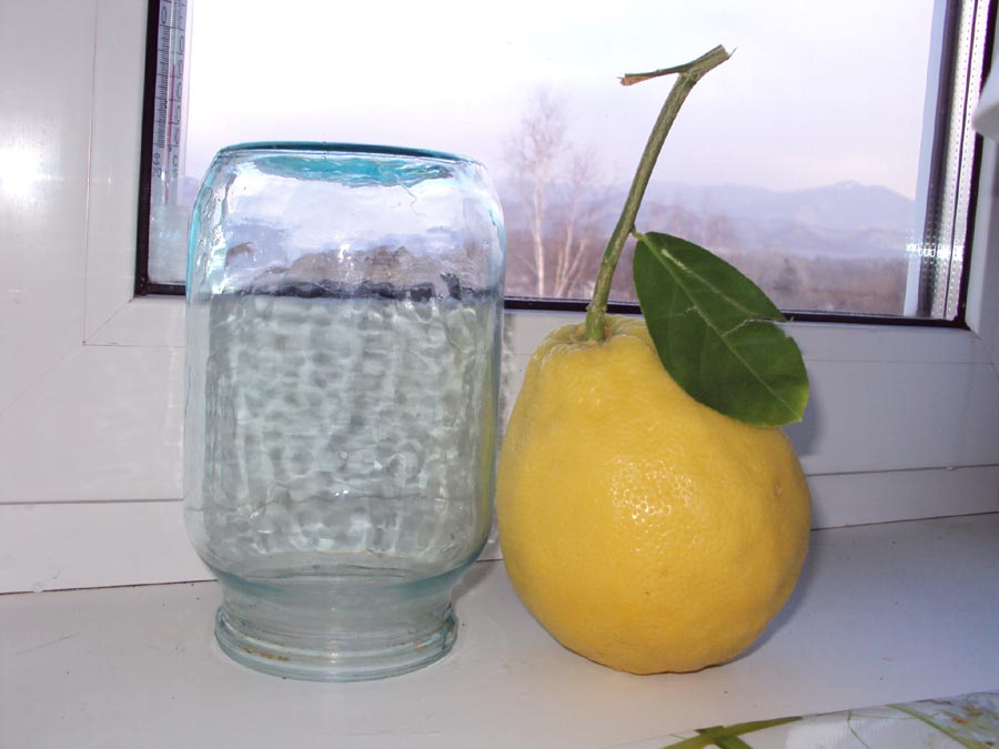 Zitronenfrucht Panderoza Foto