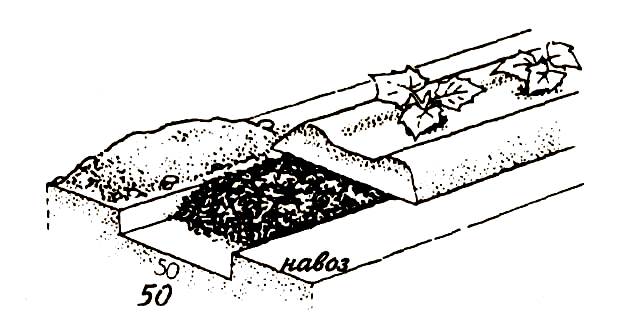 Diagrama structurii patului de gunoi de grajd
