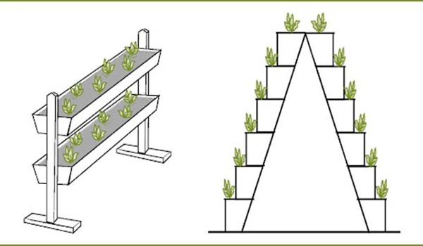 examples of devices for vertical cultivation of strawberries