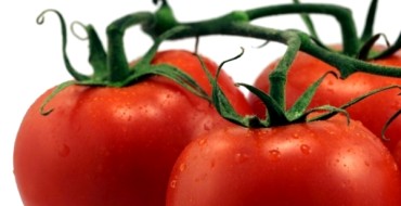 Tomate Rotkäppchen