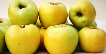 Apfelfrüchte Antonovka vulgaris