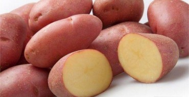 Foto von roten Scharlachkartoffeln