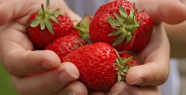 Foto von Erdbeeren in der Hand
