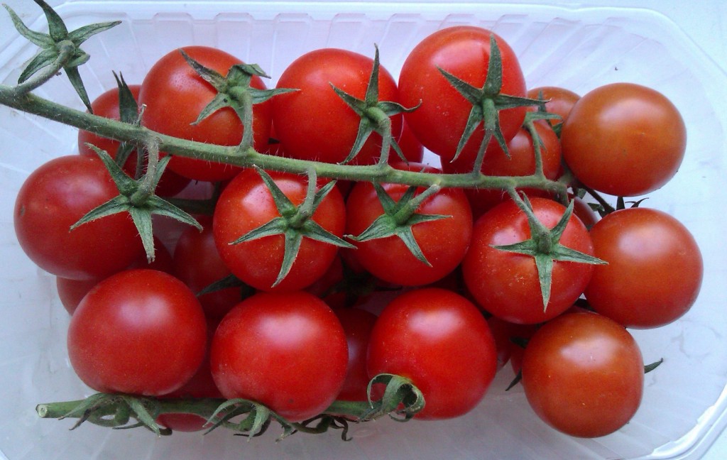 Ausgezeichnete ertragreiche Tomatenhybride Azhur