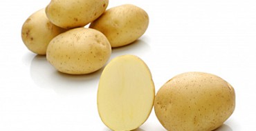 Tuleevsky-Kartoffeln auf dem Foto