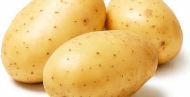 Gala Kartoffelsorte auf dem Foto