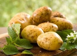 Foto von Kartoffeln auf einer Bank