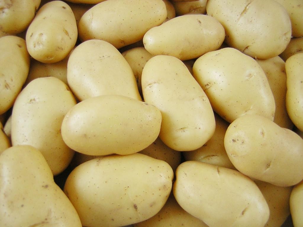 Vorteile der beliebten Kartoffelsorte Tuleevsky