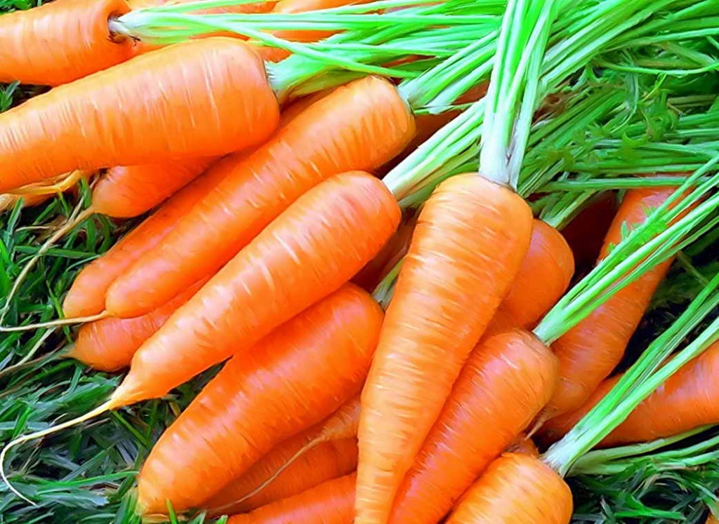Mai multe moduri de a stoca morcovii