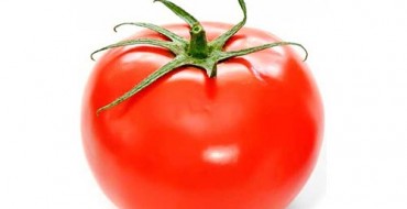Große rote reife Tomate