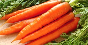 Ripe carrots in the photo