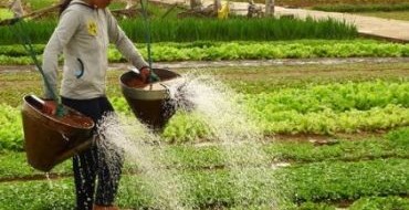 Moestuin momentopname met de hand water geven