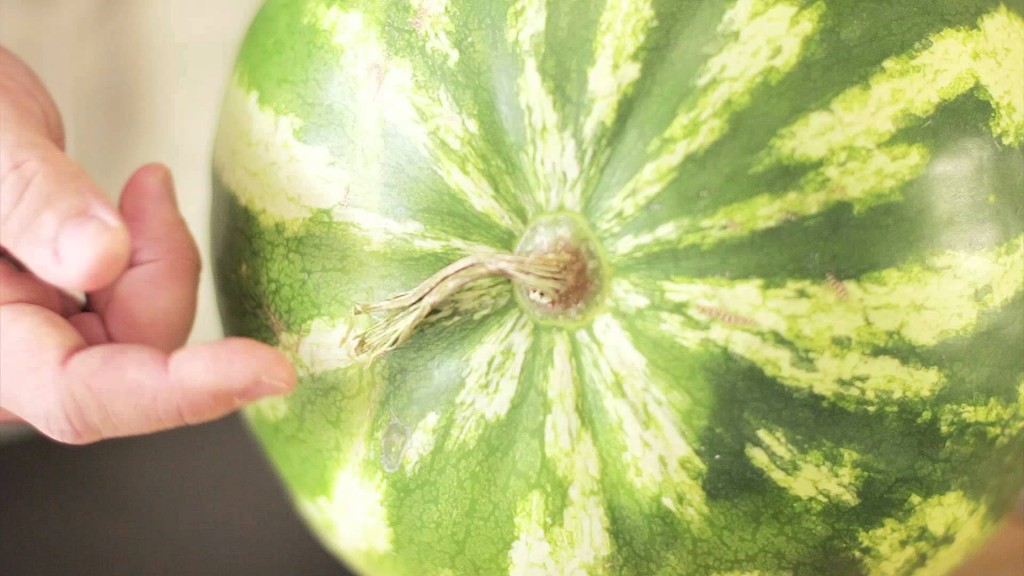 Geheimnisse und Tricks des Wassermelonenanbaus in der Mittelspur