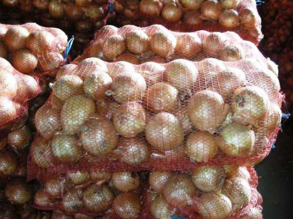 Zwiebeln können auch in Gemüsenetzen aufbewahrt werden