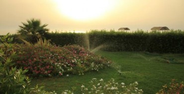 Arrosage le matin et au coucher du soleil avec de l'eau propre