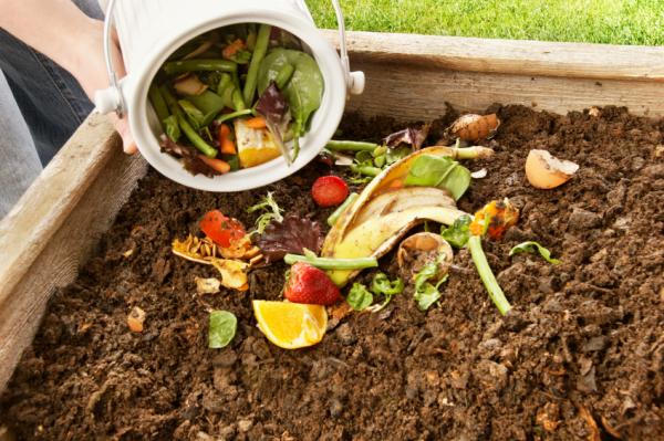 Adăugarea deșeurilor de legume și fructe în groapa de compost