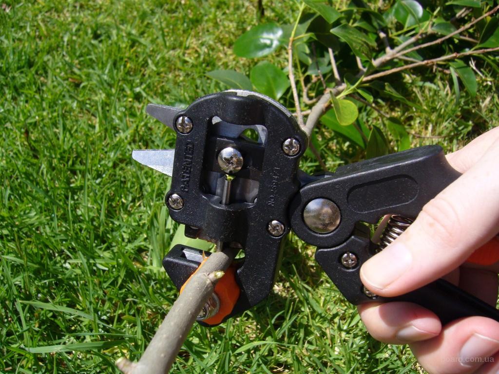 Cum se manipulează instrumentele de grădinărit pentru struguri