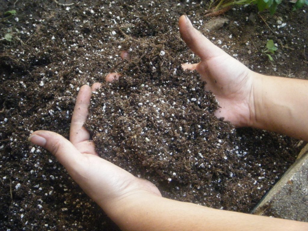 تسميد التربة والنباتات بكلوريد البوتاسيوم