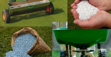 Cu cât este mai bine să fertilizați gazonul