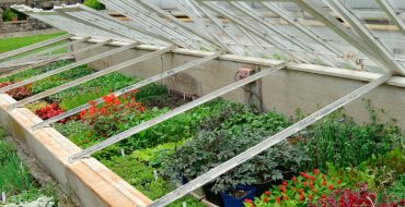 Anbau von Blumen und Gemüse in einem Rahmengewächshaus