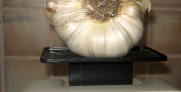 Dimensiunile și greutatea usturoiului Rocambol