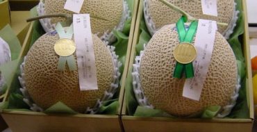 Yubari Royal Melone Sale