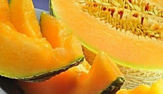Melone Sibirischer Honig