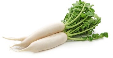 หัวไชเท้า Daikon Minovase