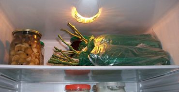 Rose cuttings in the refrigerator