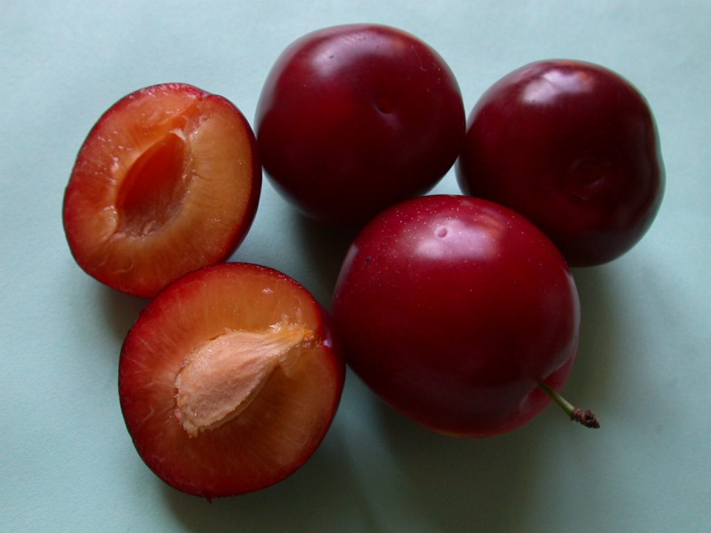 Selecție prune de cireș roșu