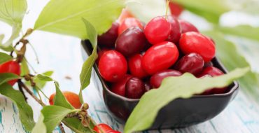 Dogwood berries in a plate