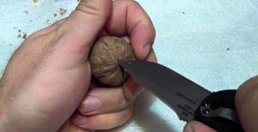 תהליך פיצול אגוז בעזרת סכין